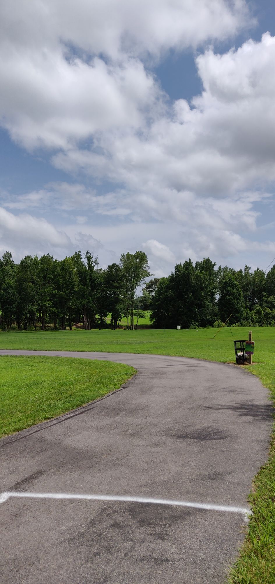 Hole 4 Gold Tee