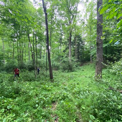 Halfway down the fairway of 12