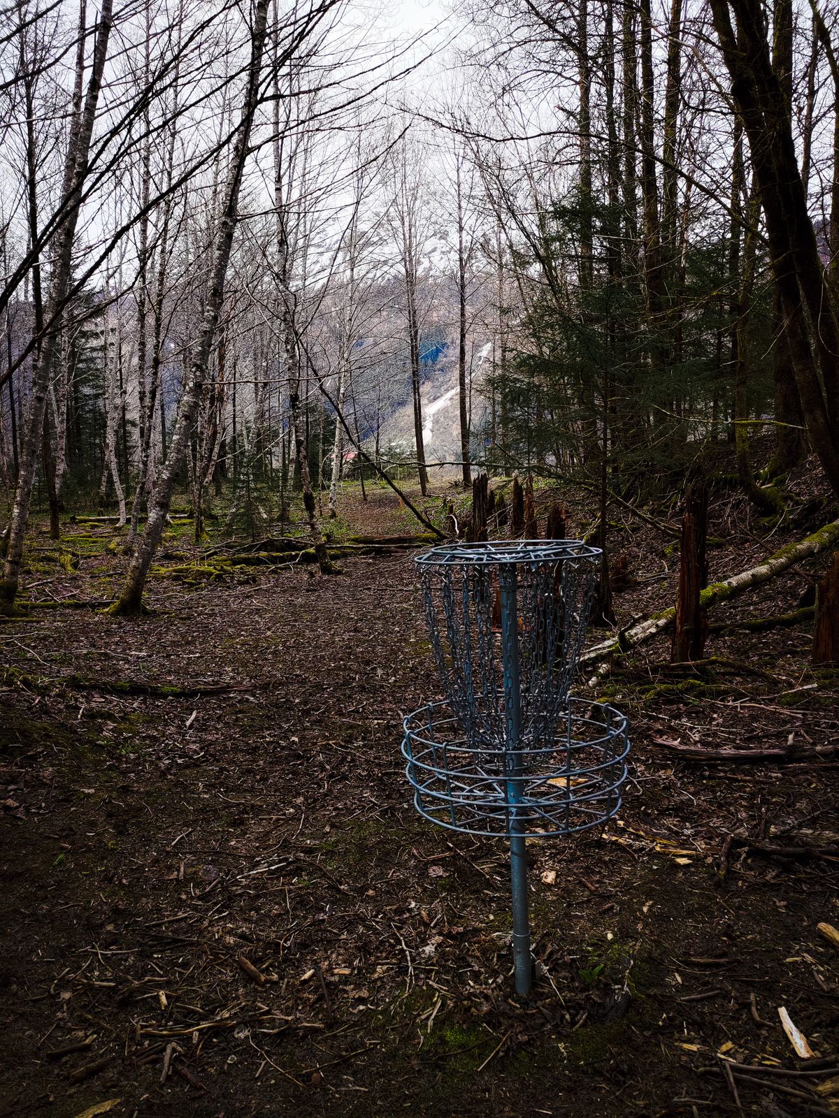From the basket of Hole 6