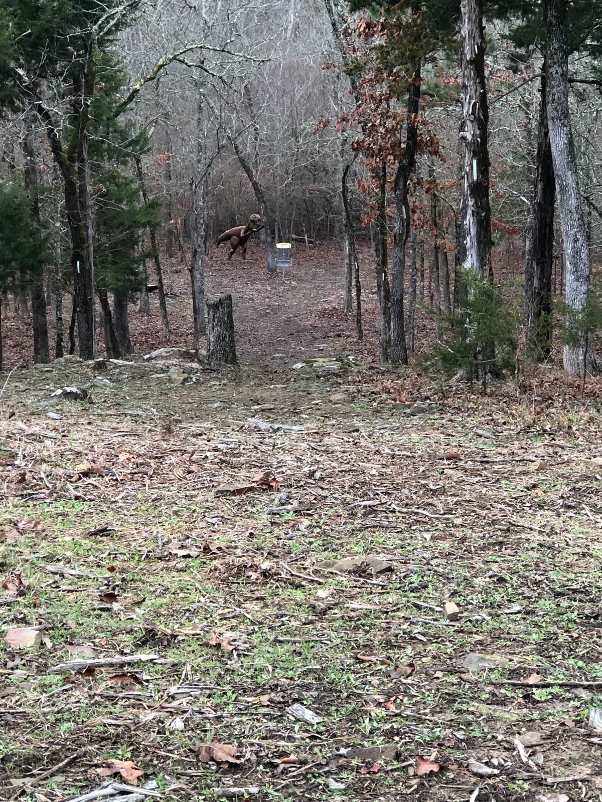 Hole 10