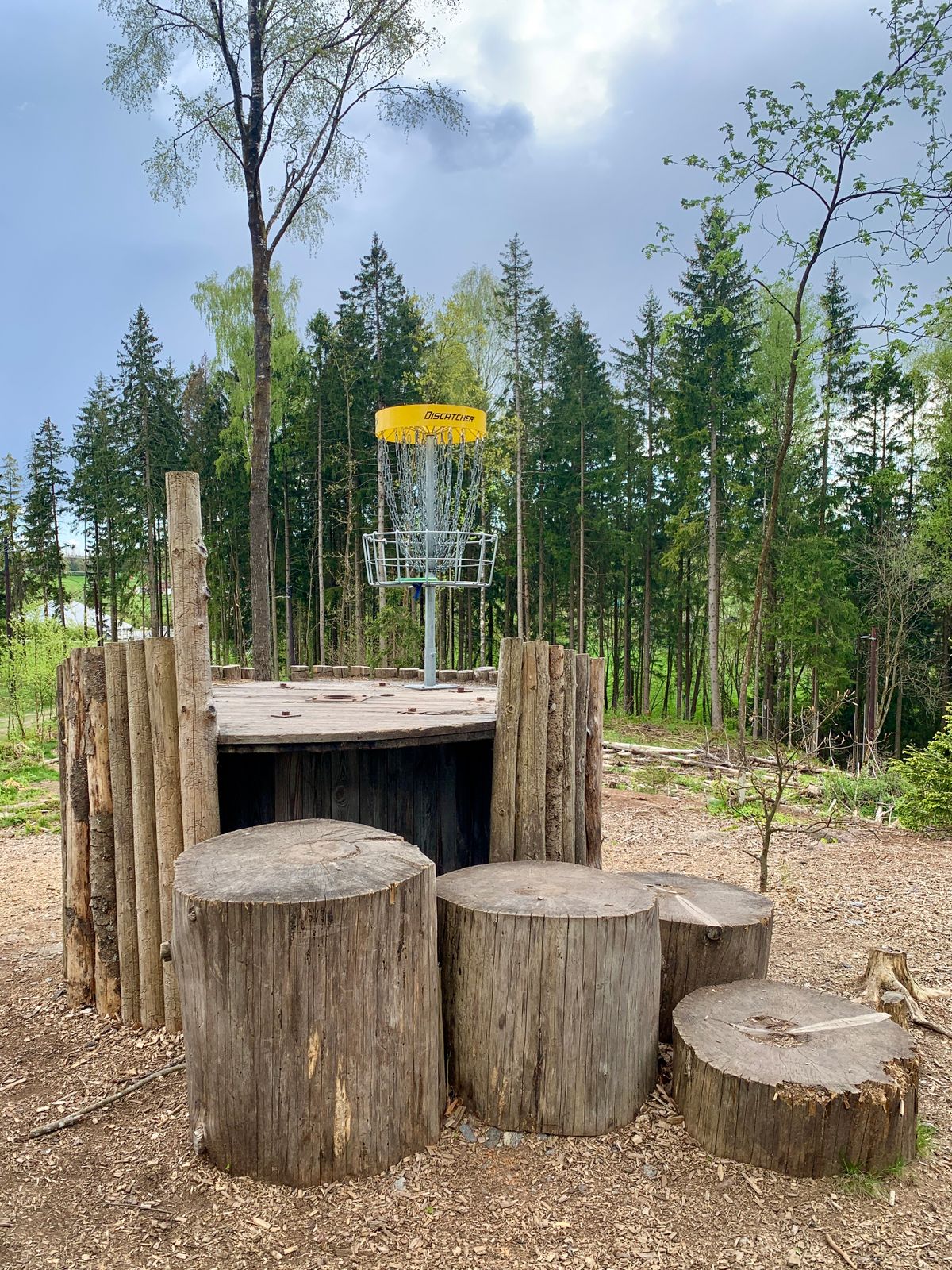 Hole 11 🪵