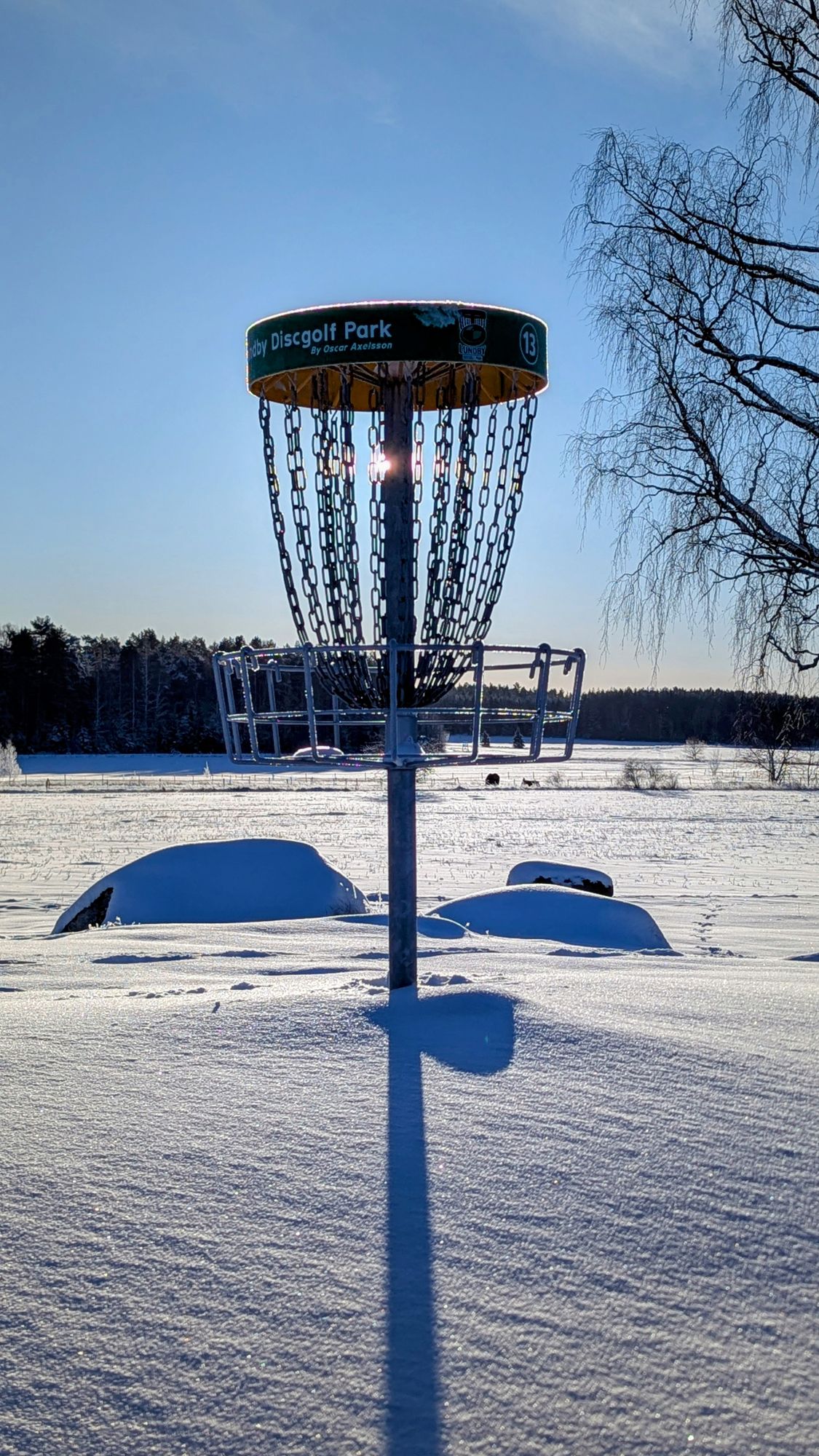 Hole 13