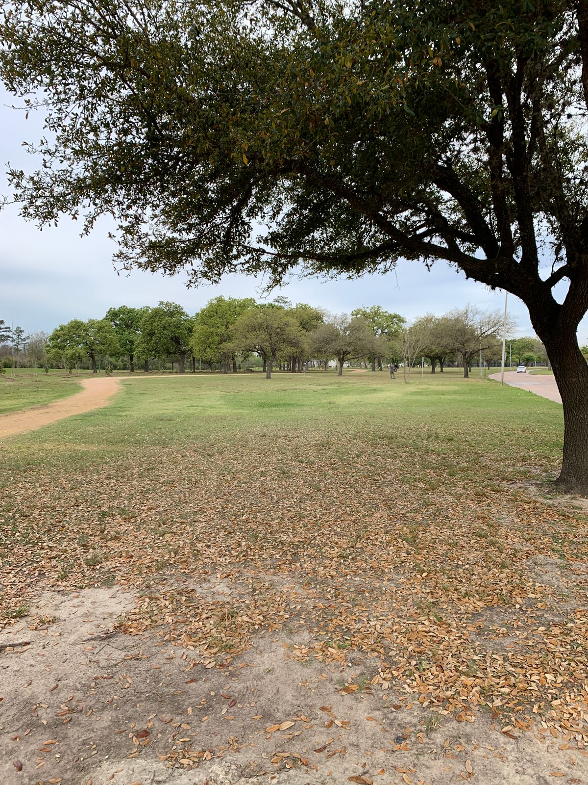 Hole 20