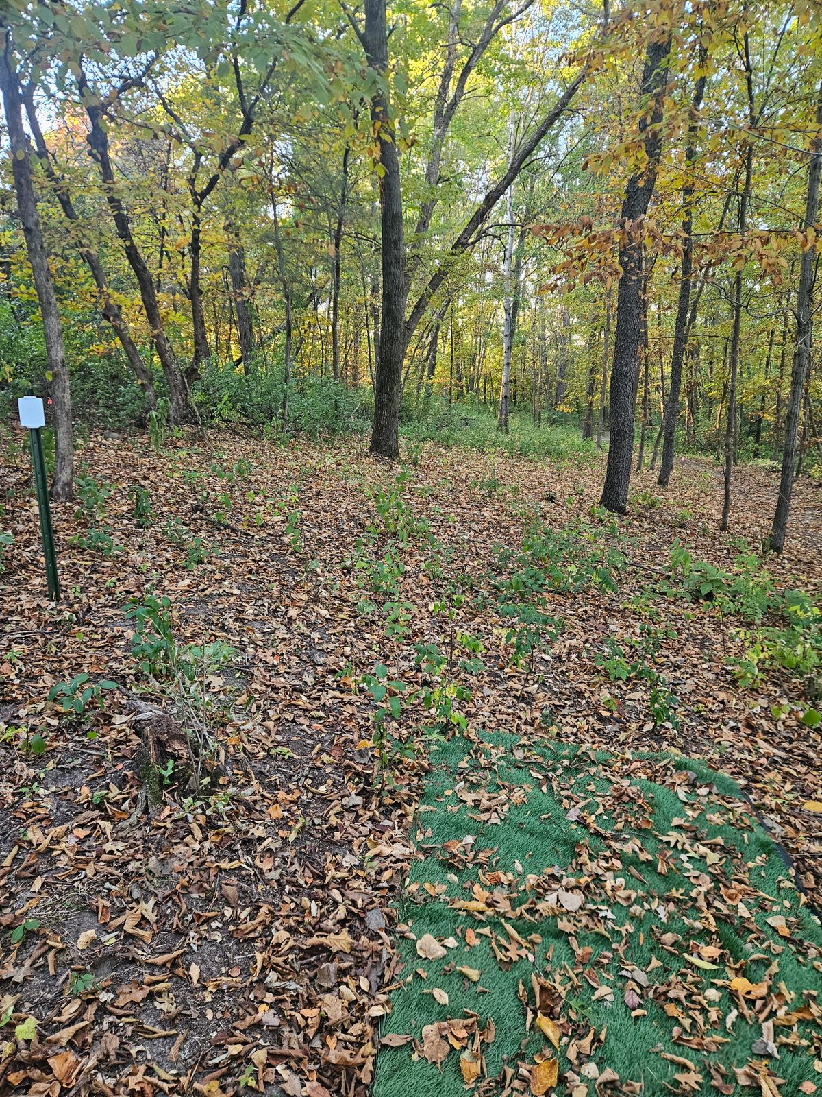 Hole 3