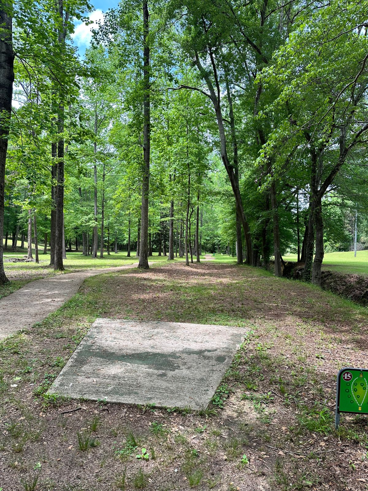 Hole 15