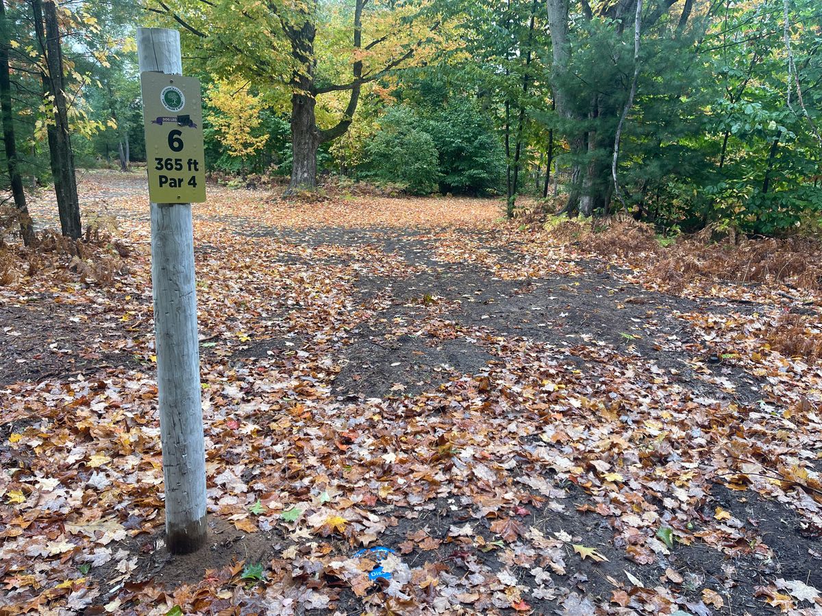 Tee pad 6