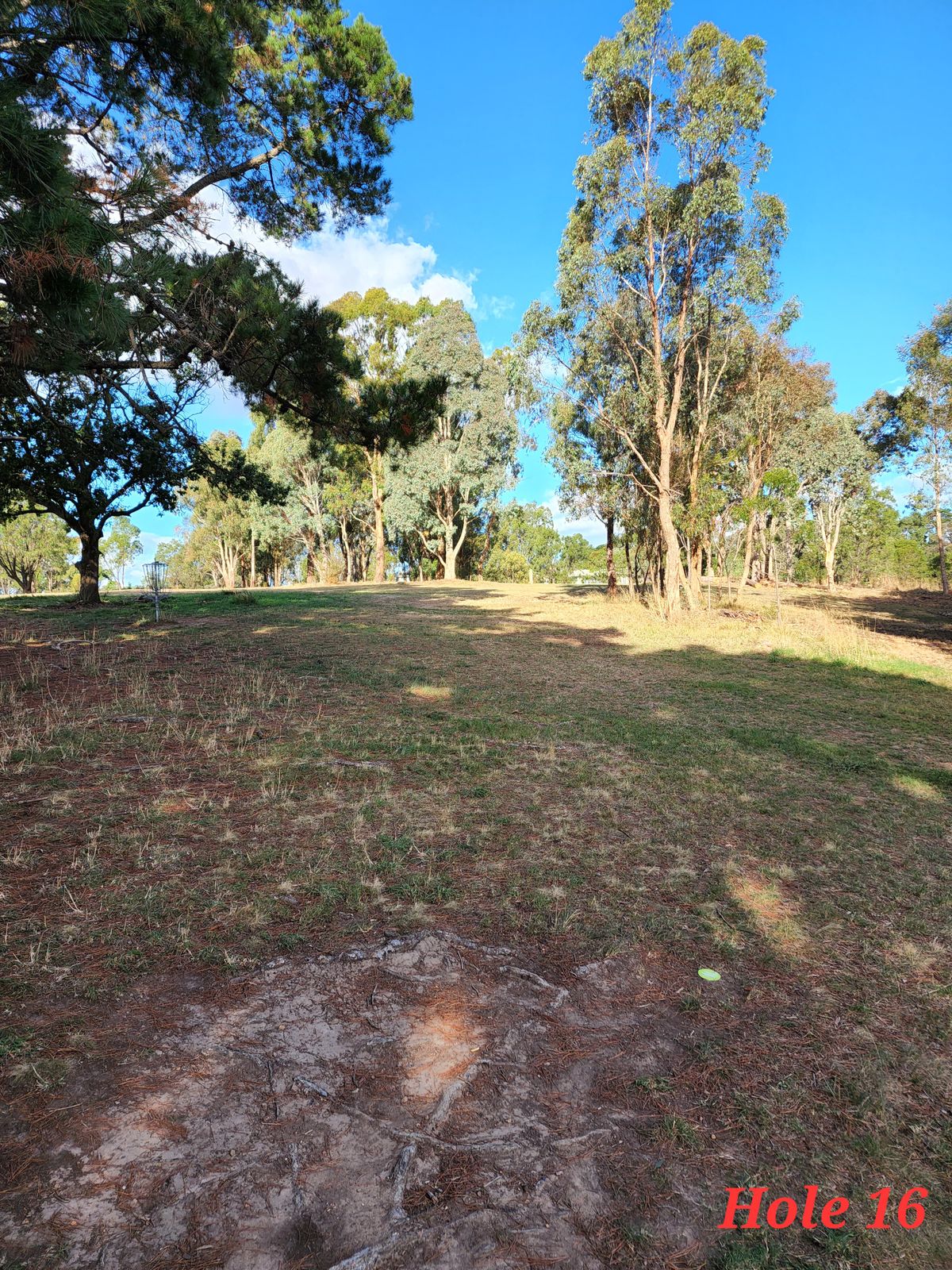 Uphill par 4. If you want an eagle just take an understable distance driver and hit the gap. Forehand is the safe play.