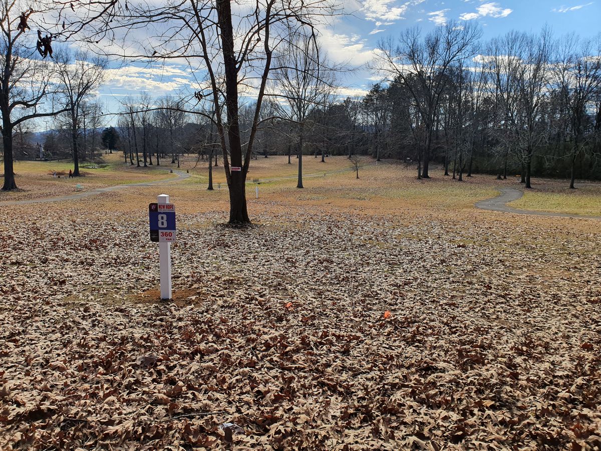 hole 8 (downhill) basket to the right qith a mando