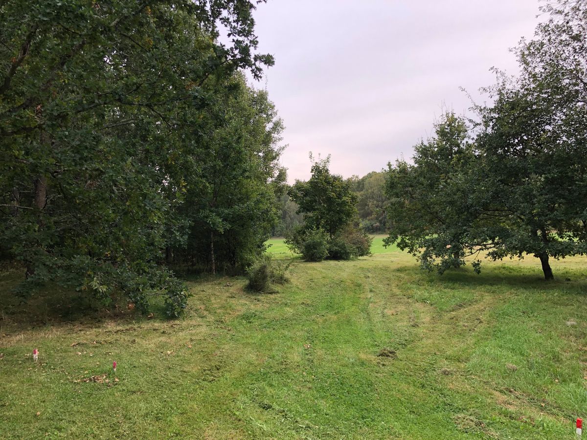 20. Vänstra fairway