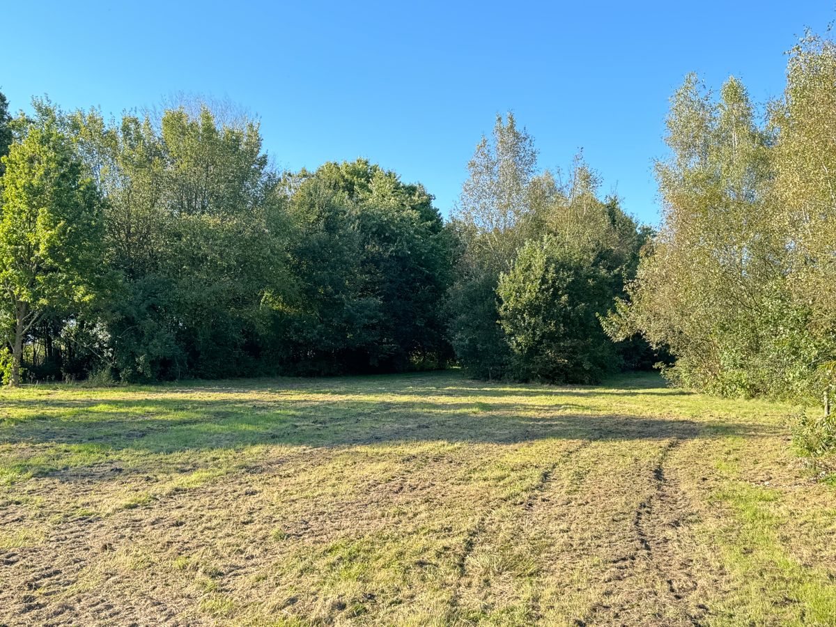 Hole 5 red