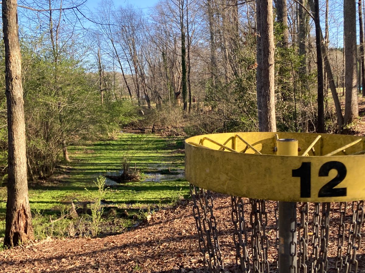 That greenness is vegetation on surface of a swamp. Tee is on the right at distant side