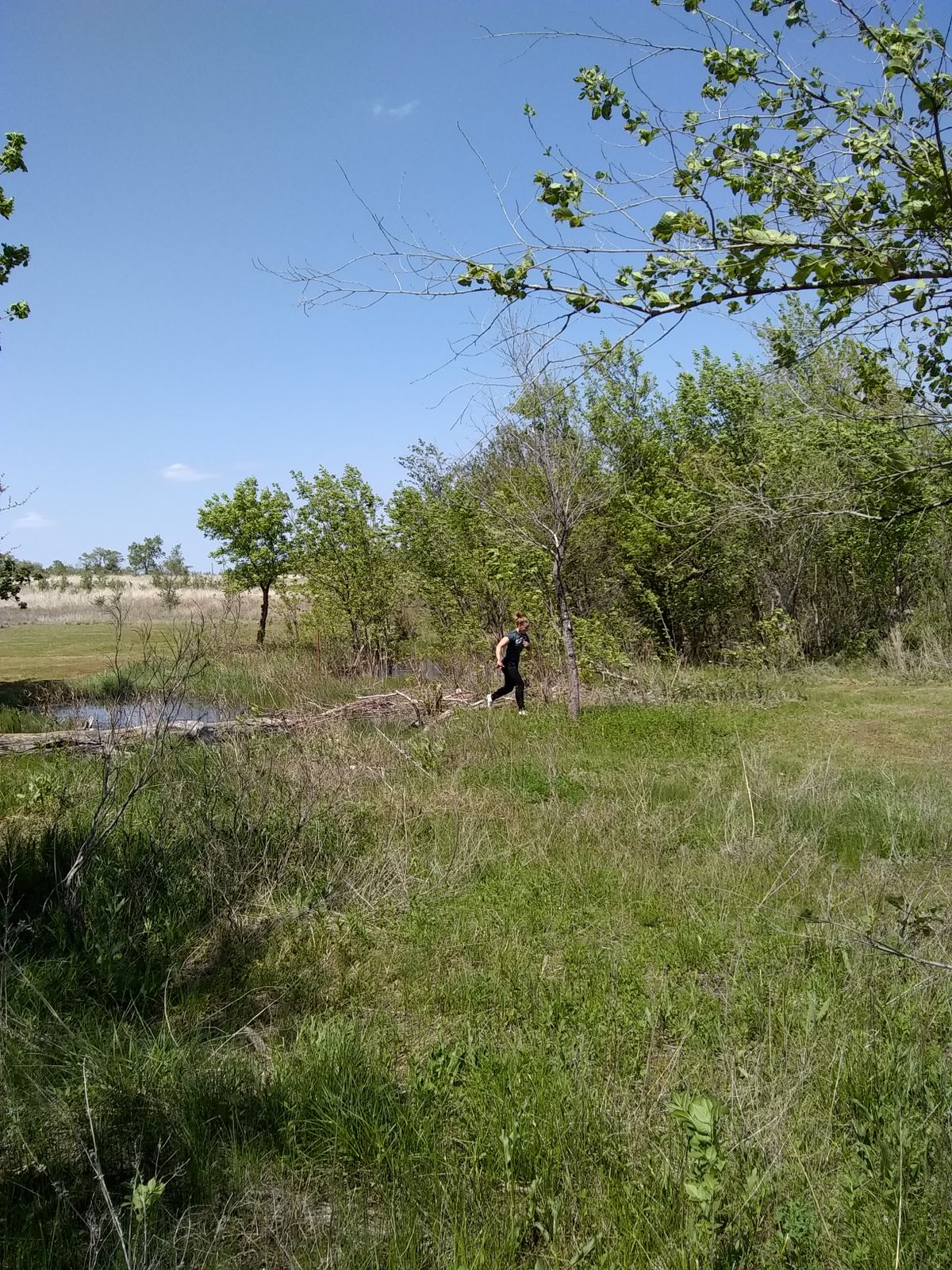 Water Hazard