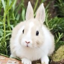 User avatar image