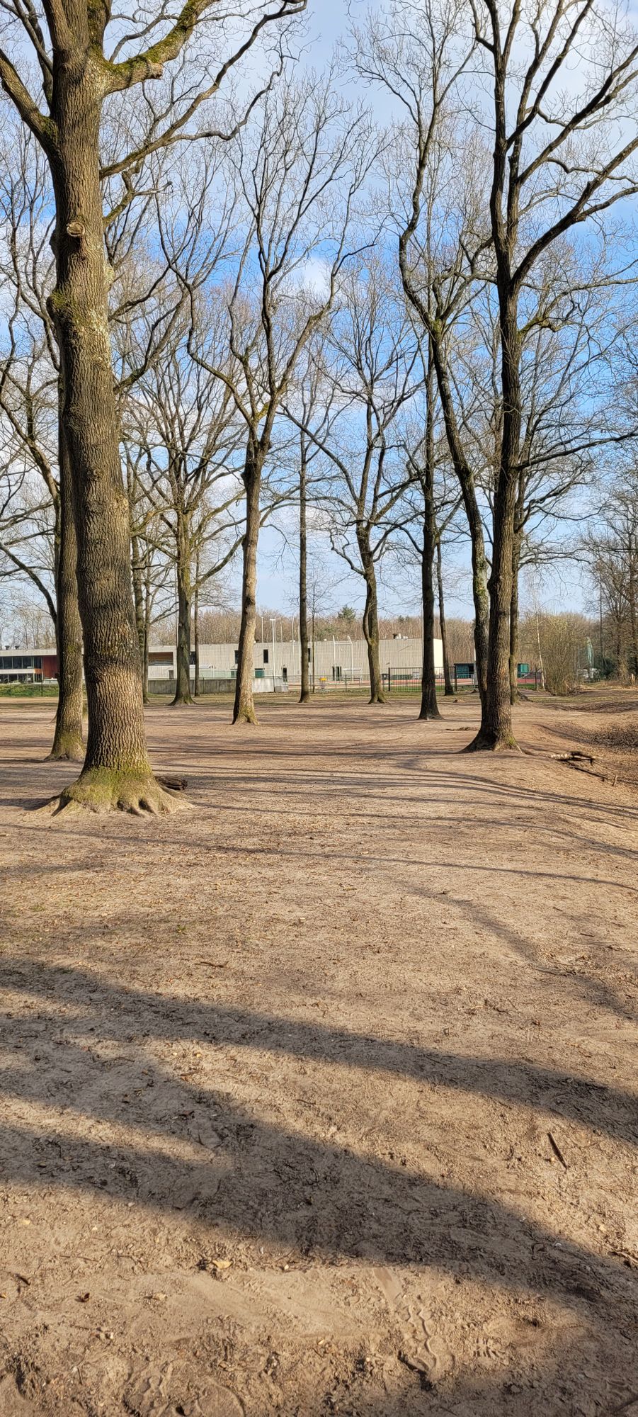 Hole 6