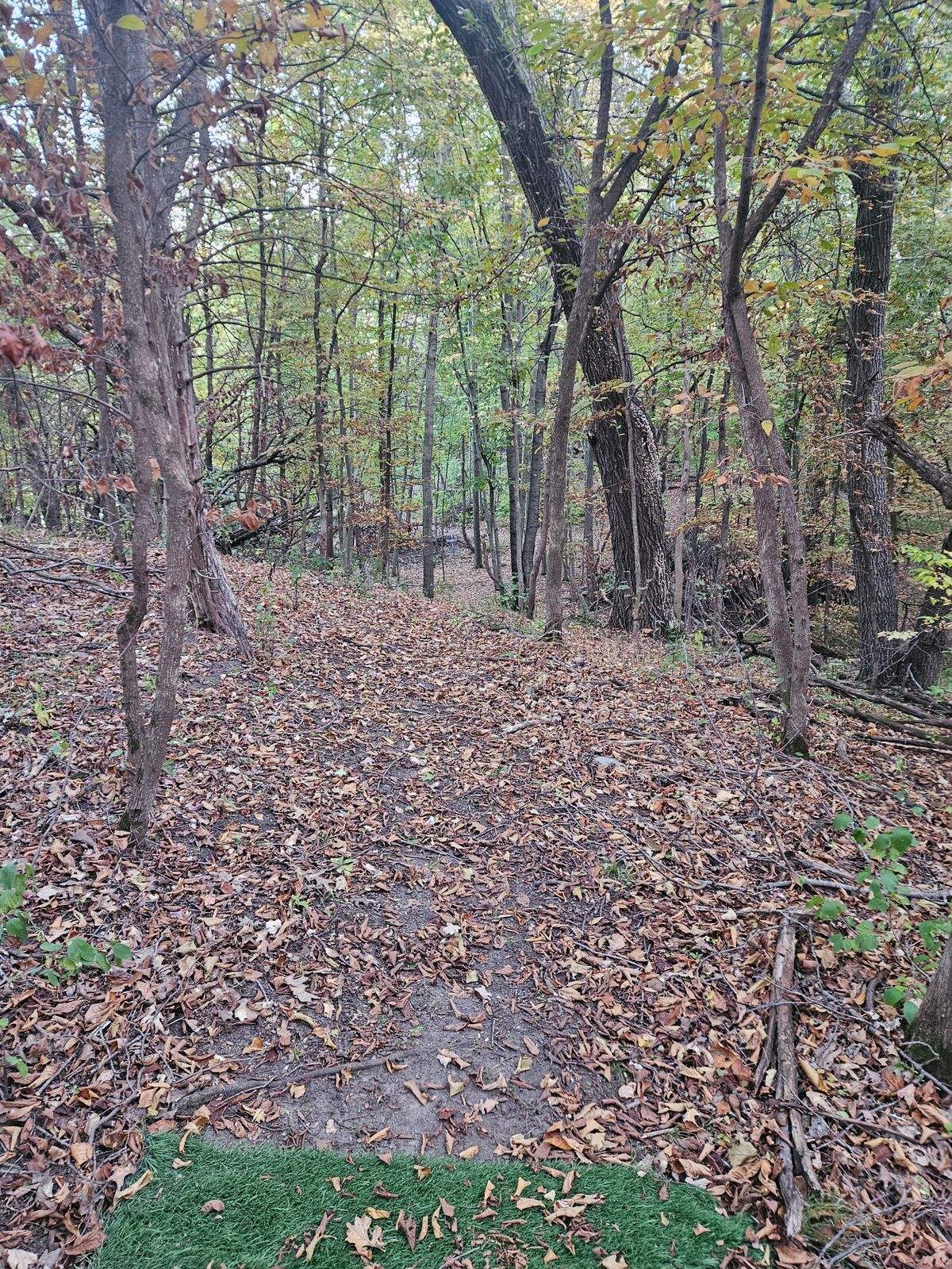 Hole 11