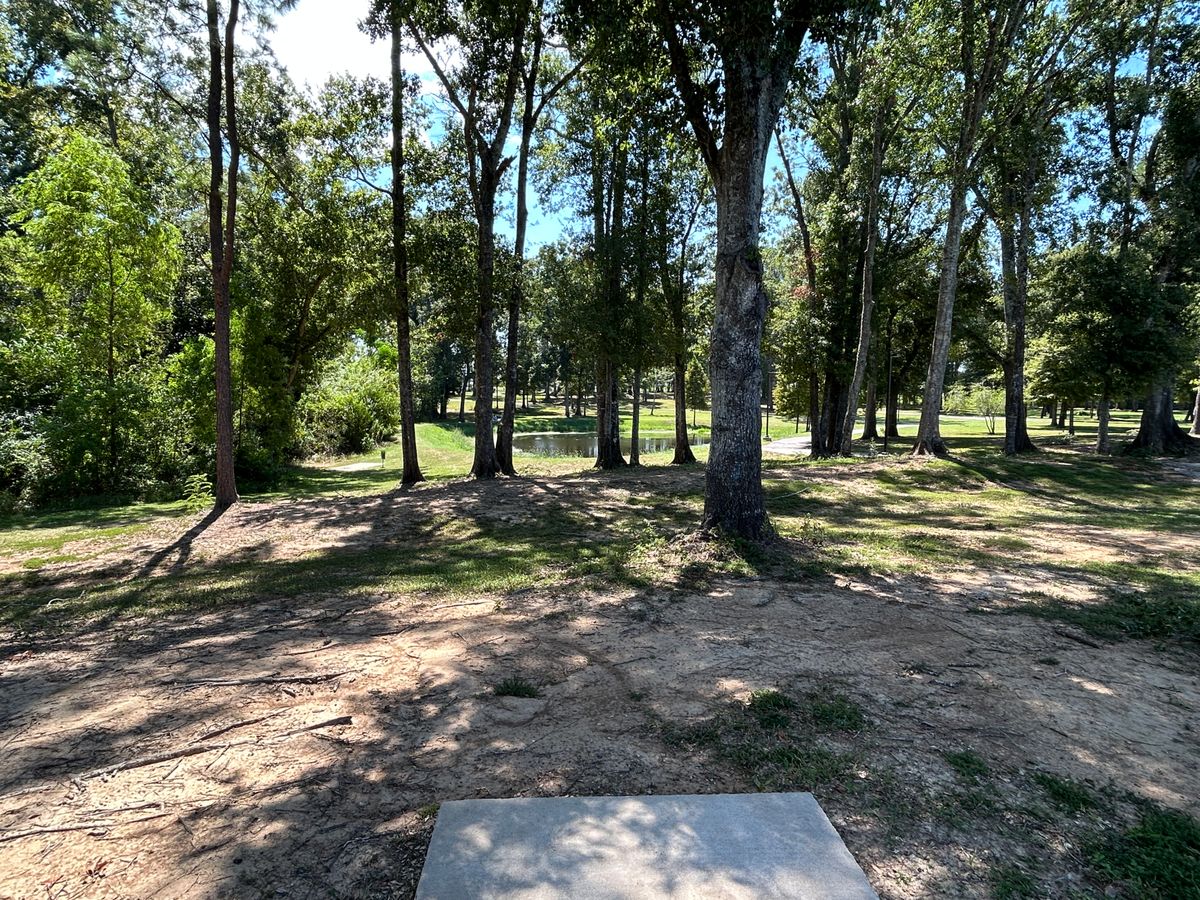 Hole 16 Fairway (White)