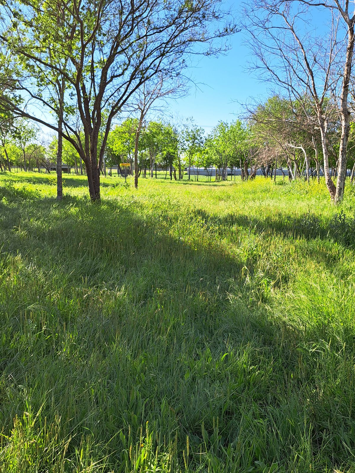 Hole 4  April 5th