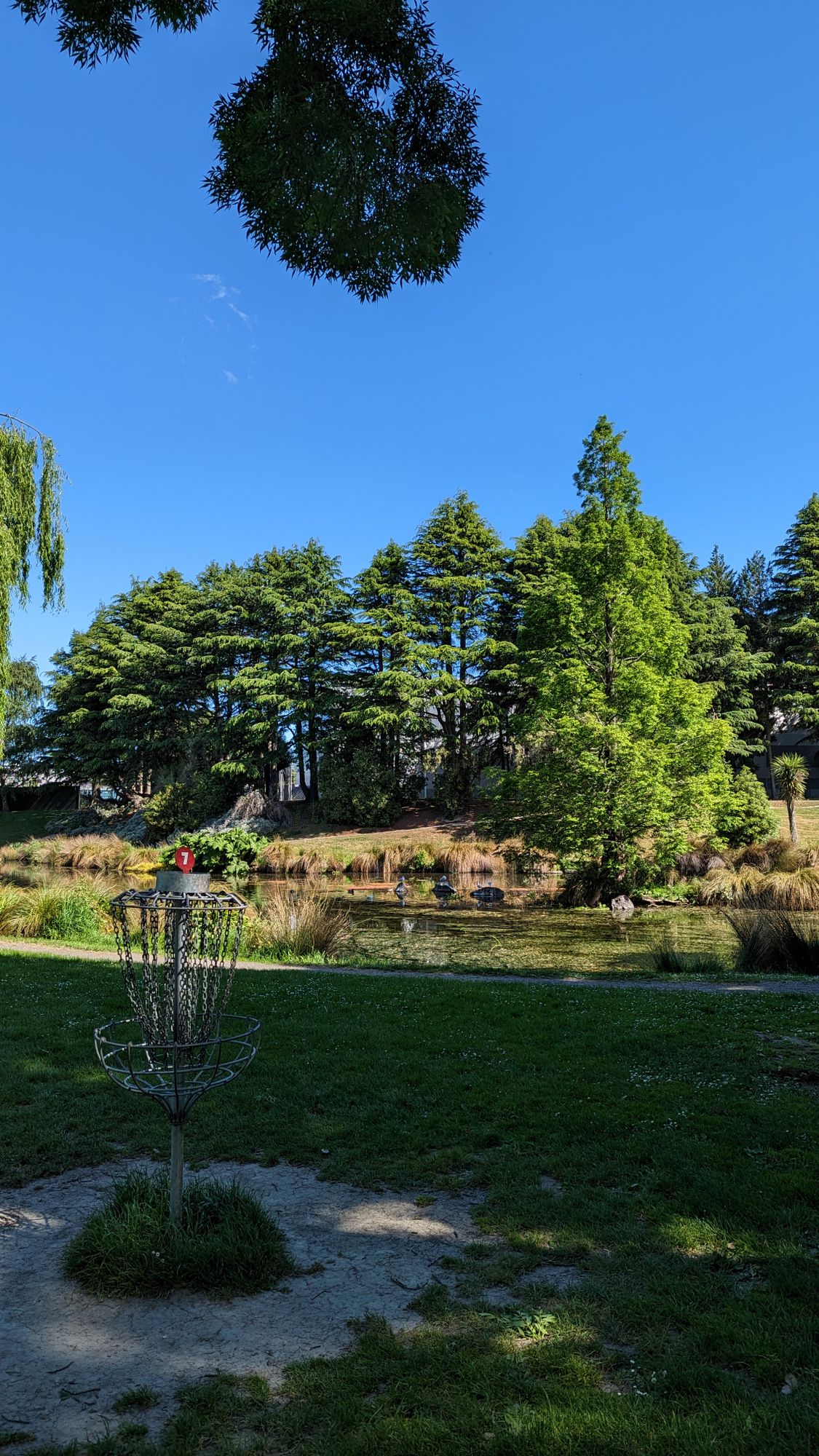 Hole 7
