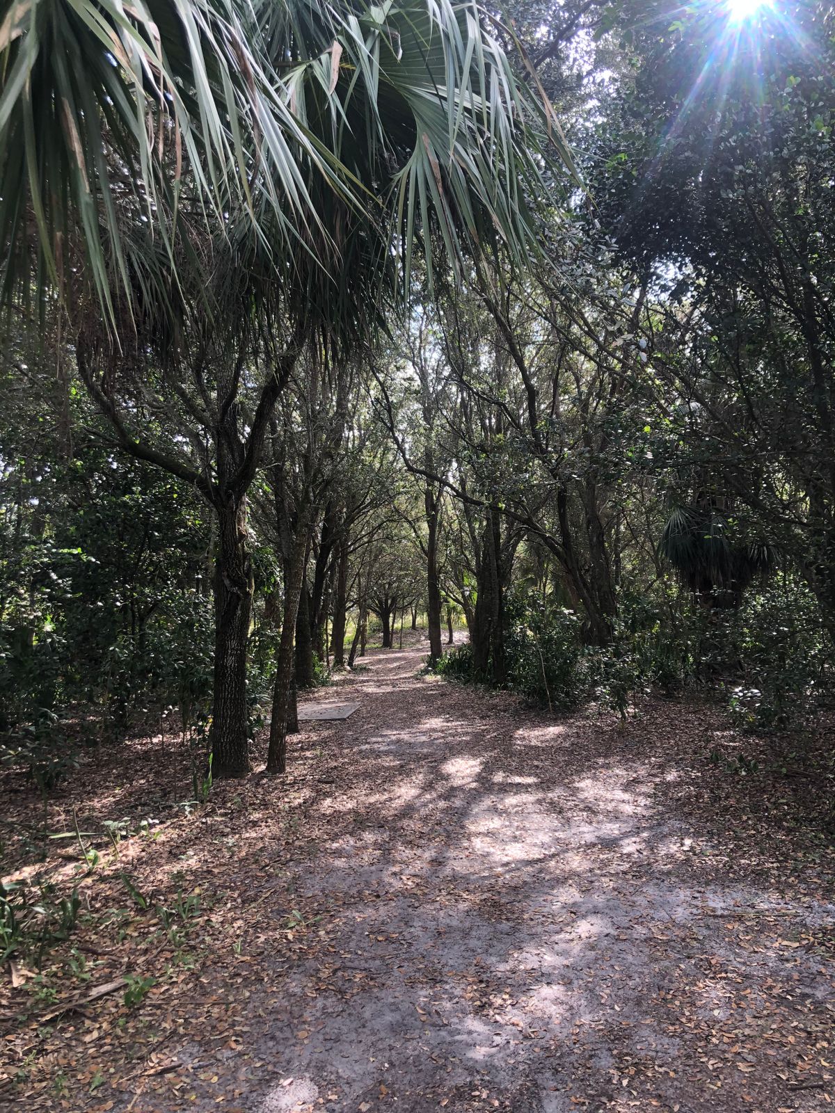 Hole 7