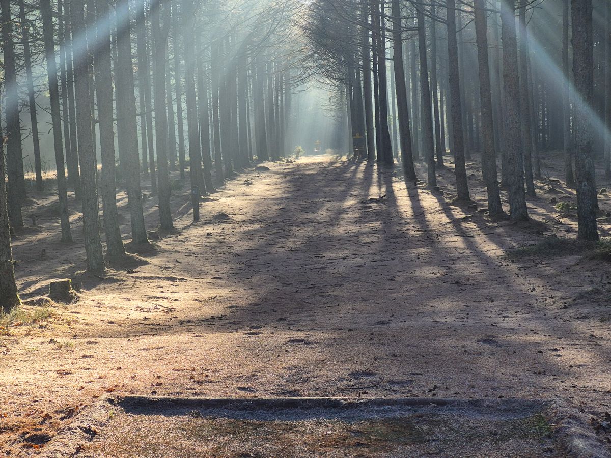 Hole 1 - From the teebox