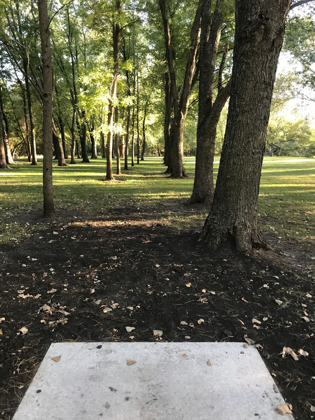 Hole 12