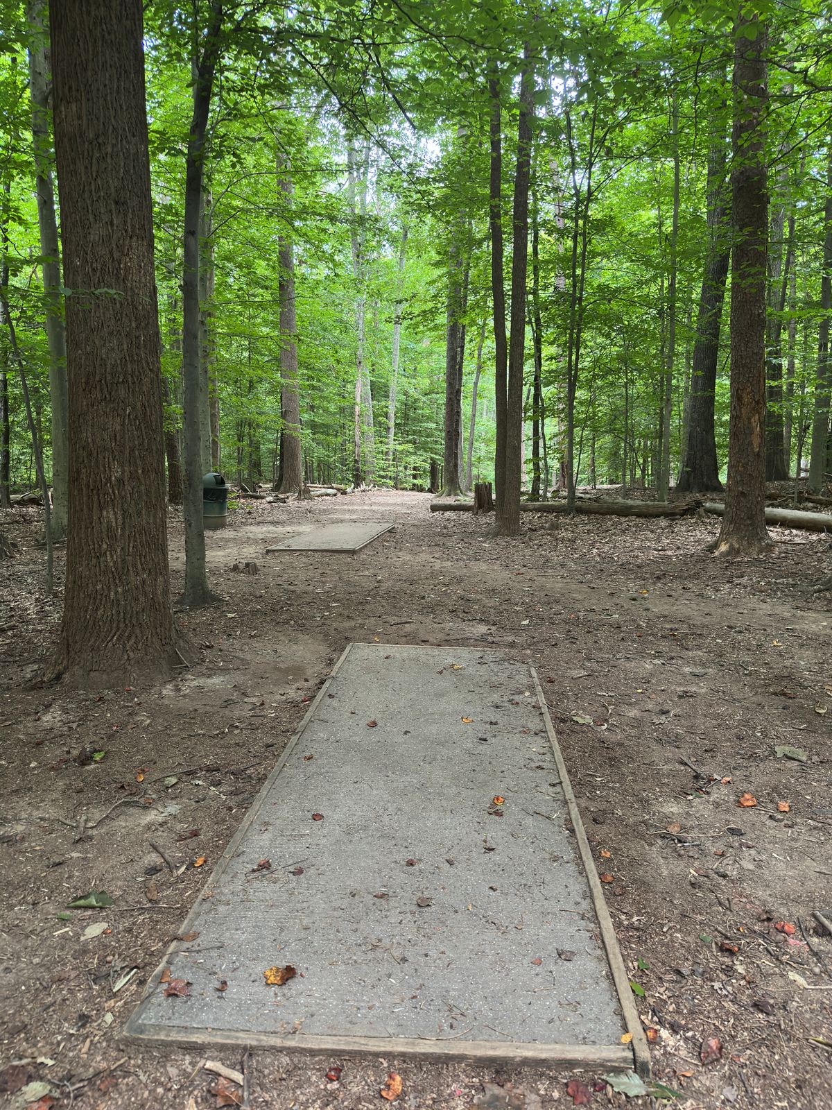 Hole 8 white tee