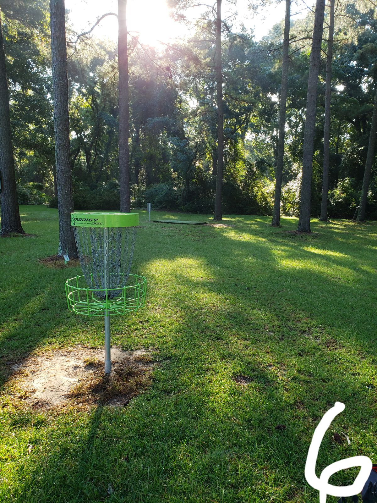 #6 Green