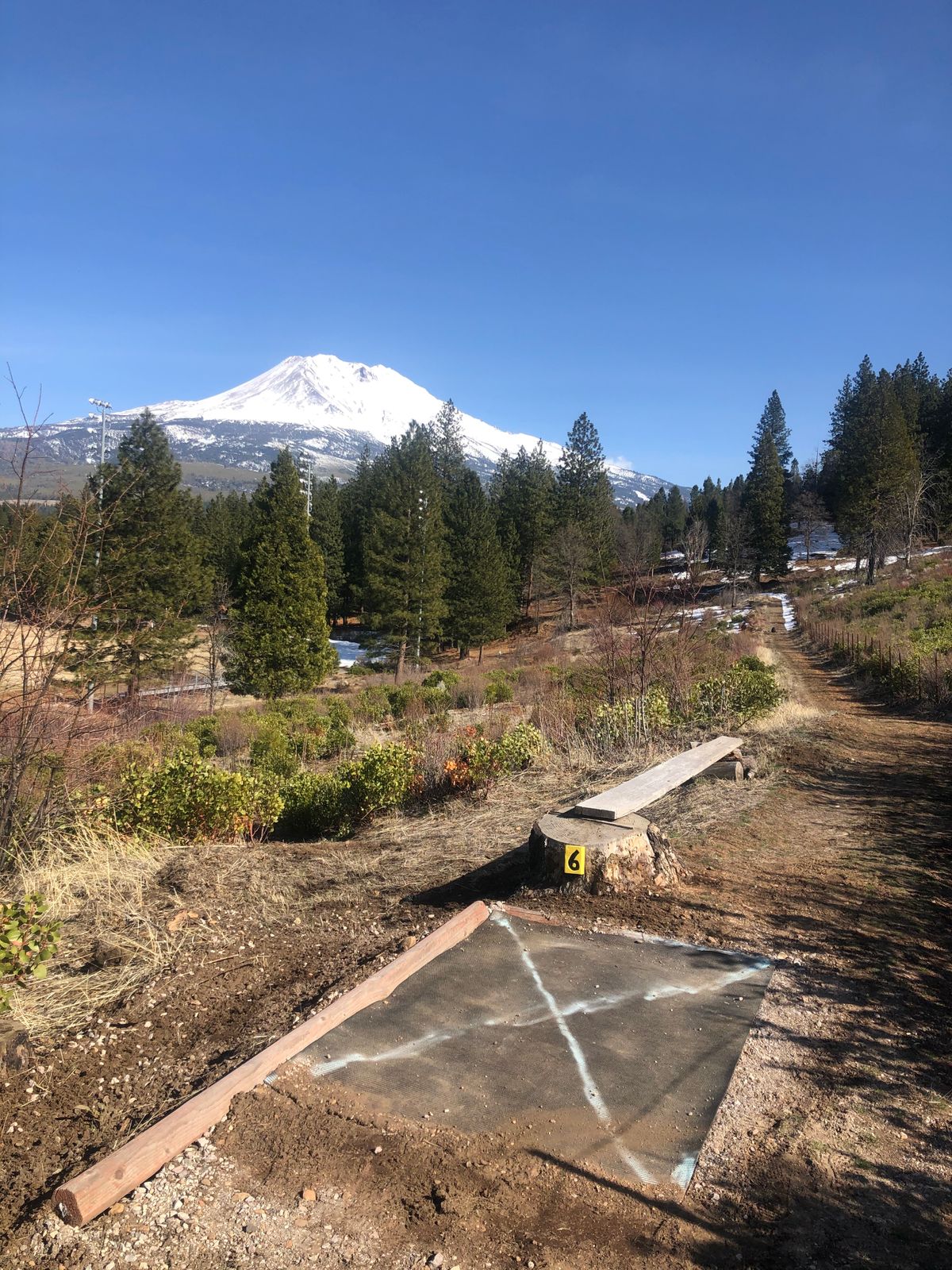 Beautiful view of snowy Shasta