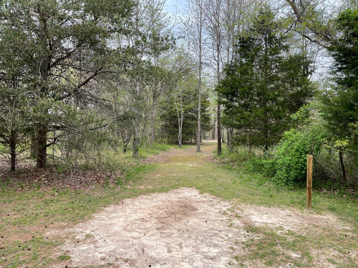 Tuckahoe State Park
