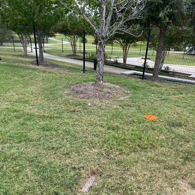 Hole #2 tee box is brick by tree