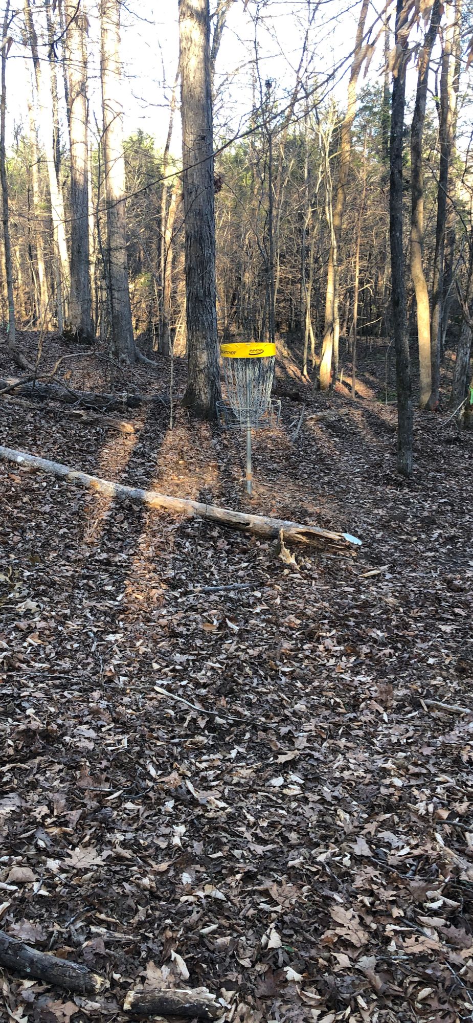 Hole 11 Basket