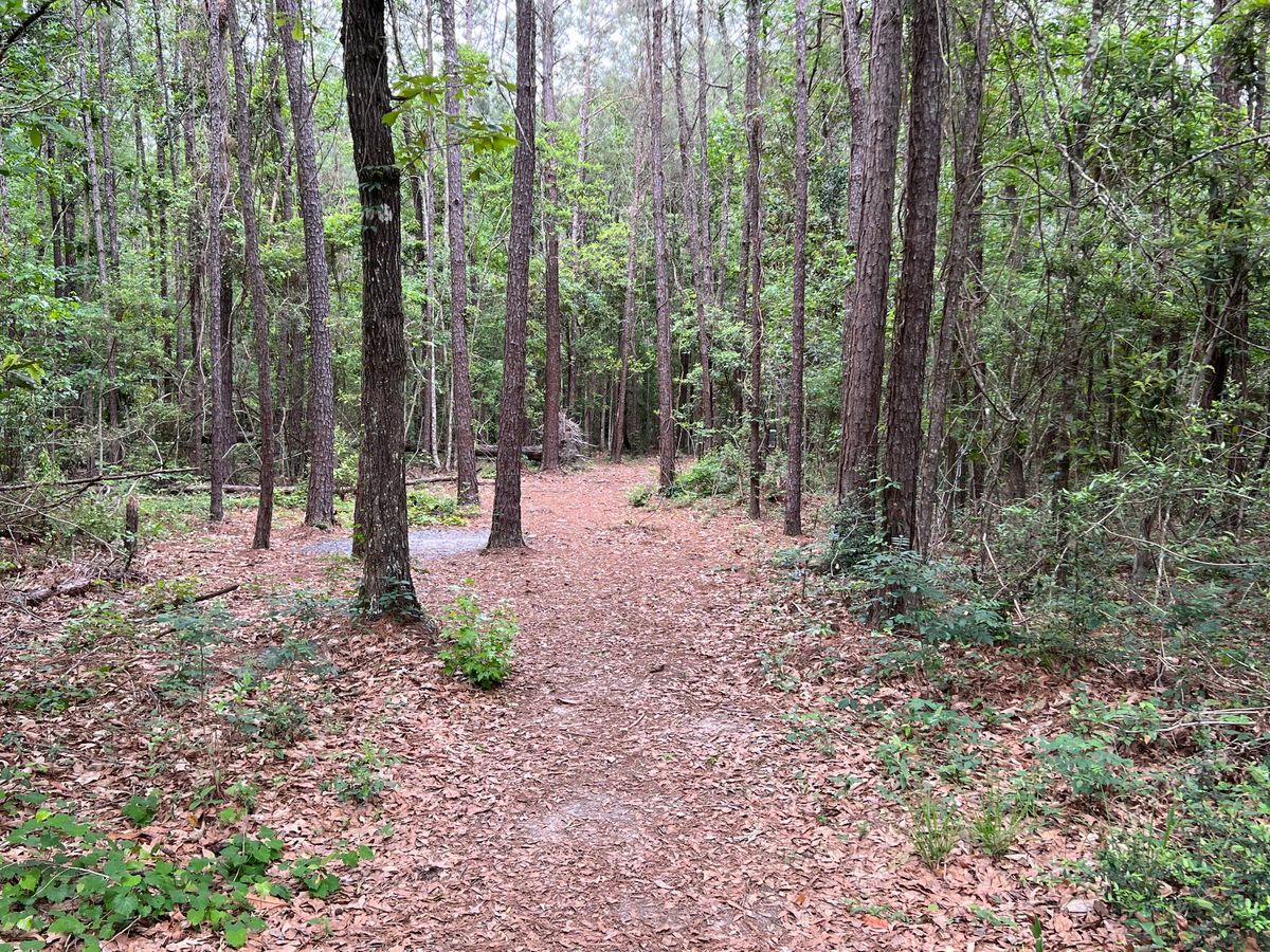 Hole 14 Blue