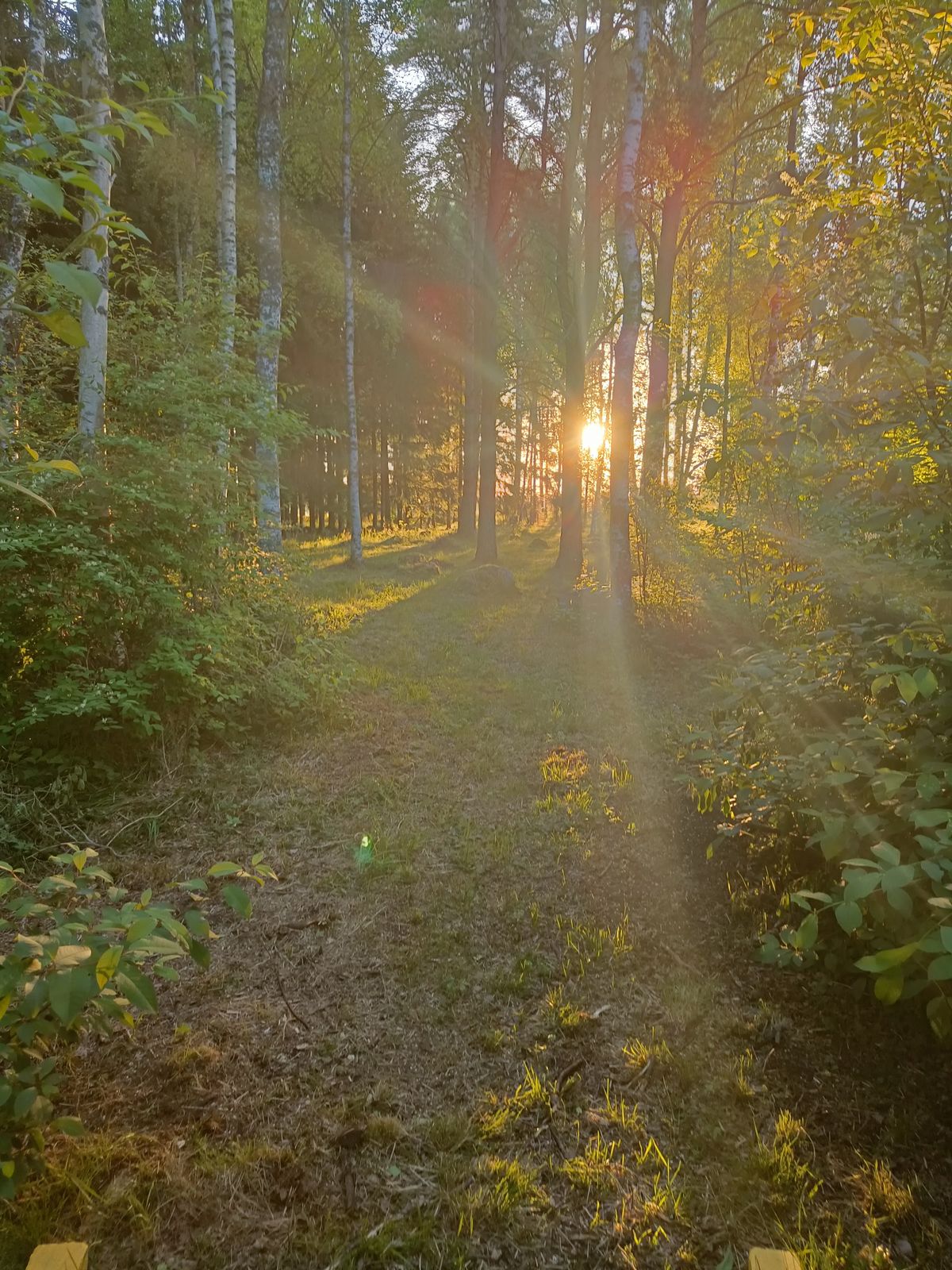 Hål 5
