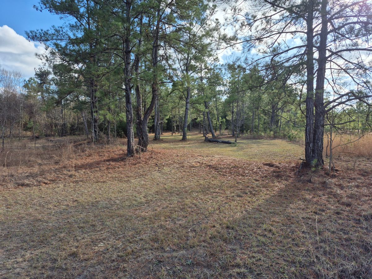 Hole 9 short pad.