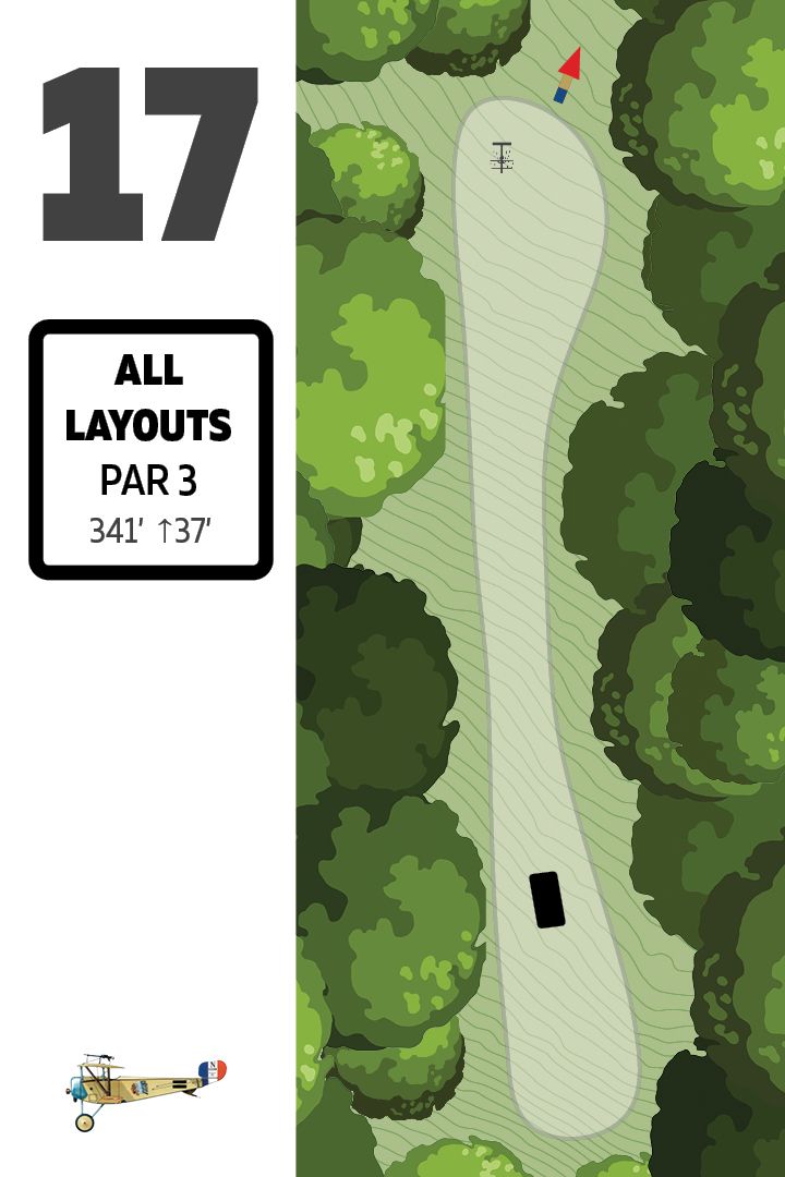 #17 All Layouts