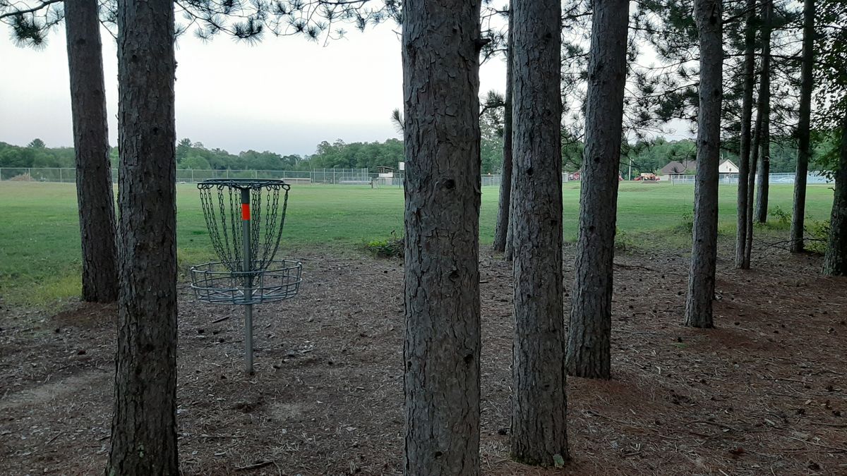 2nd hole basket