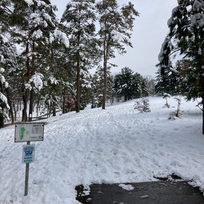 Hole 4