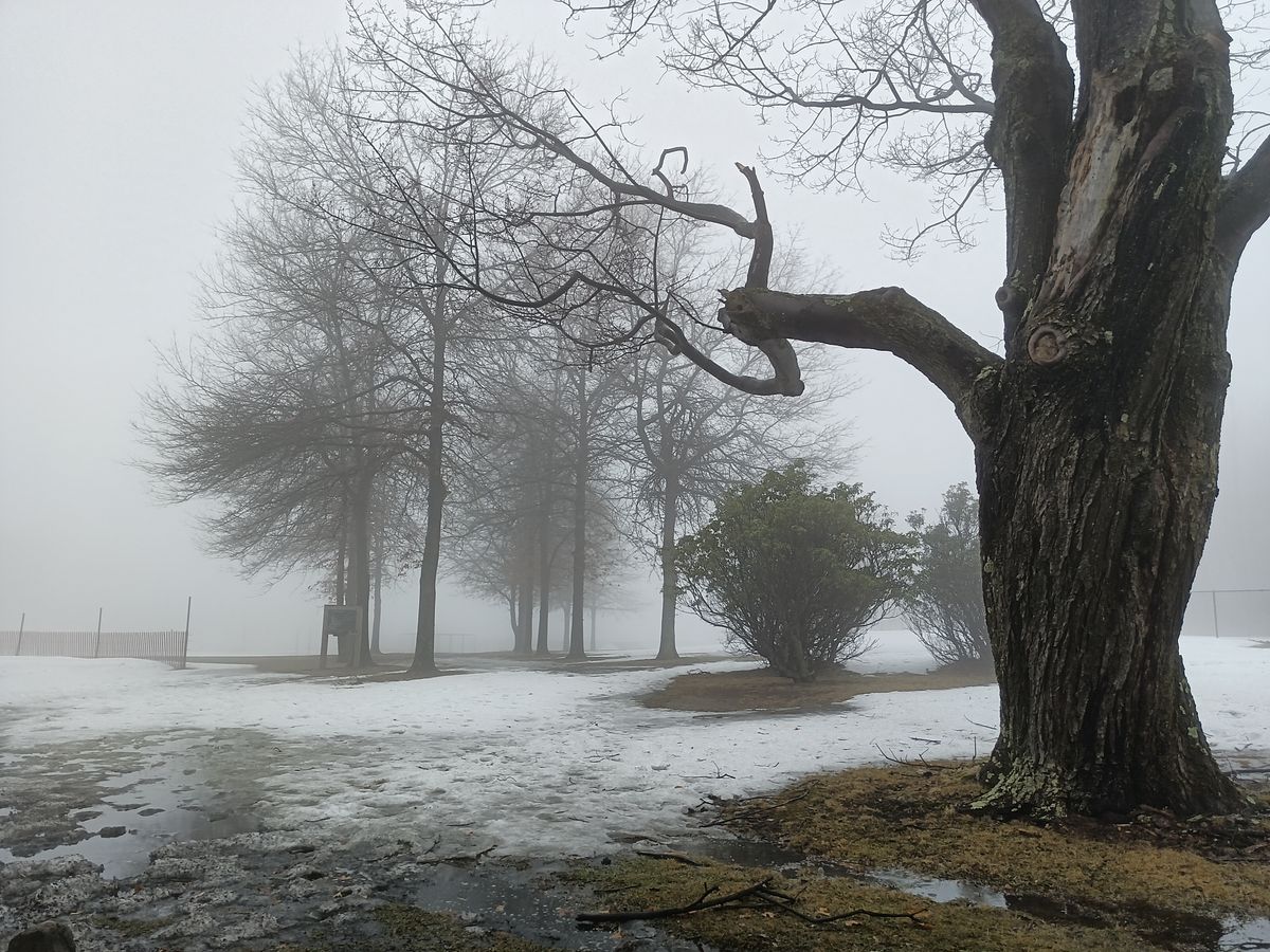 It's a little too foggy today.