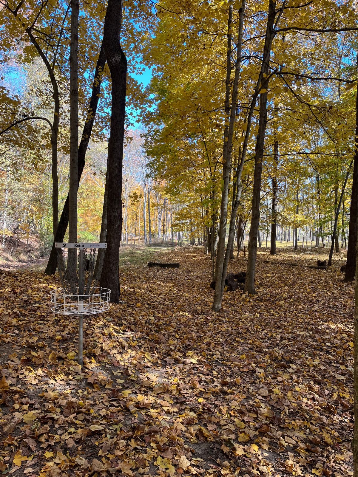 Hole 3 looking back at the tee pad from the basket.