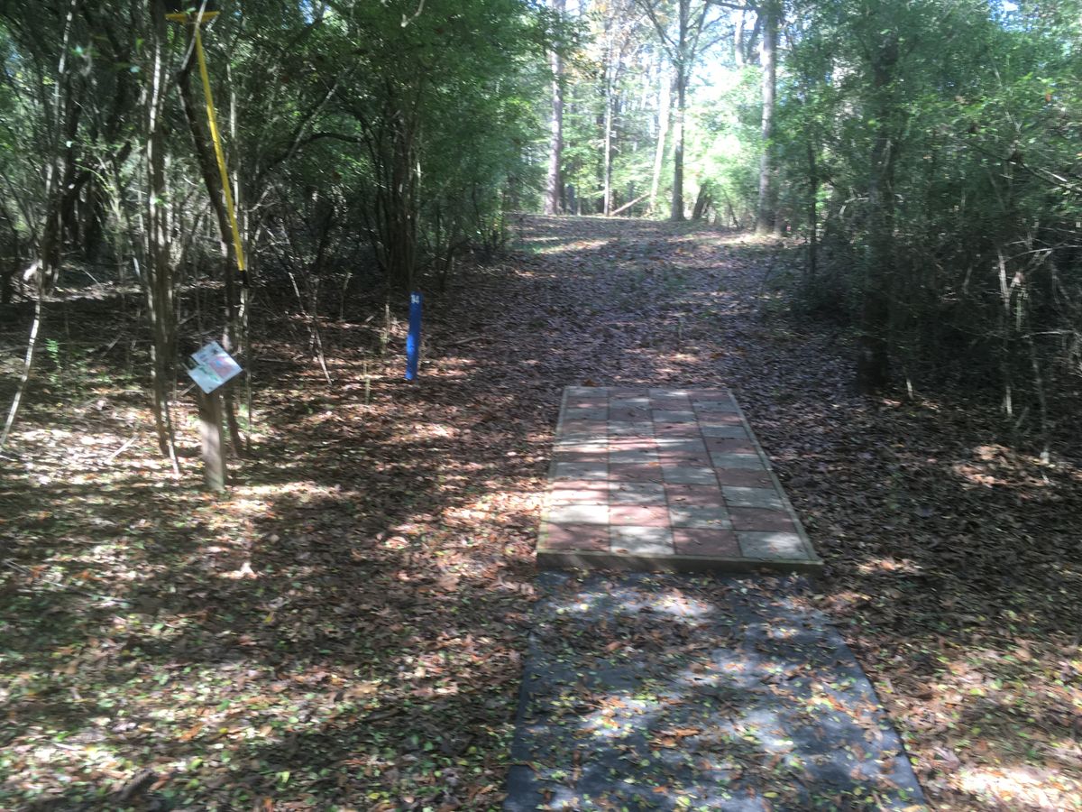 Hole 14 Tee