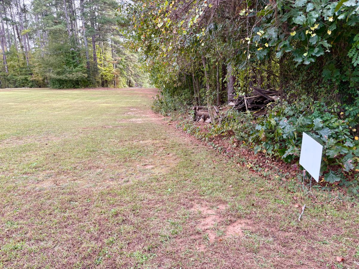 Hole 4 tee