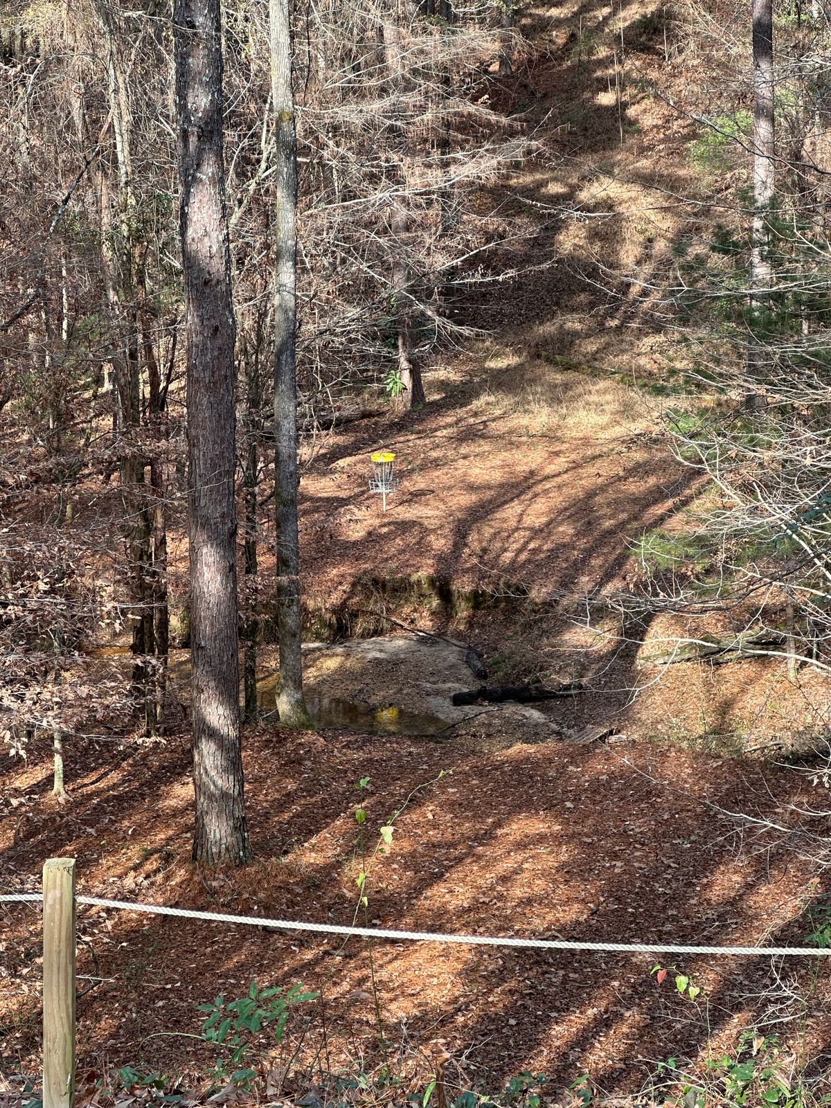 Hole 11 from the tee pad