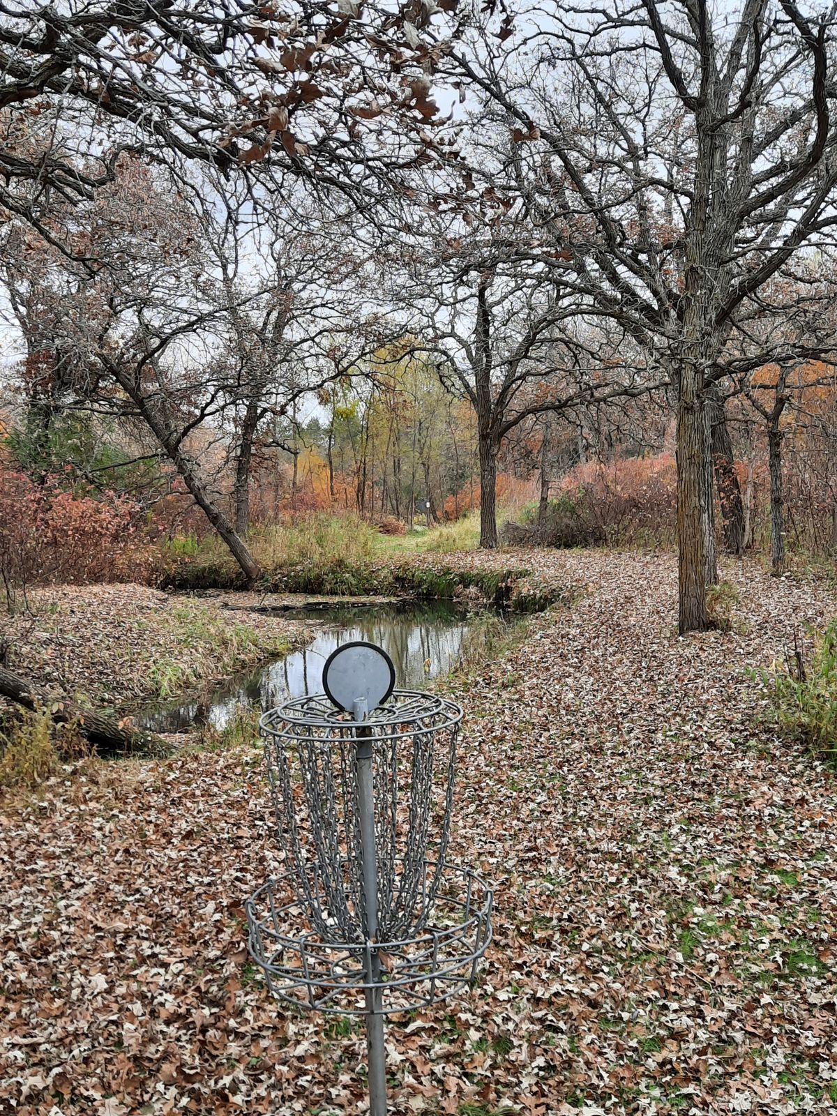 Hole 11 view from behind basket towards tee.