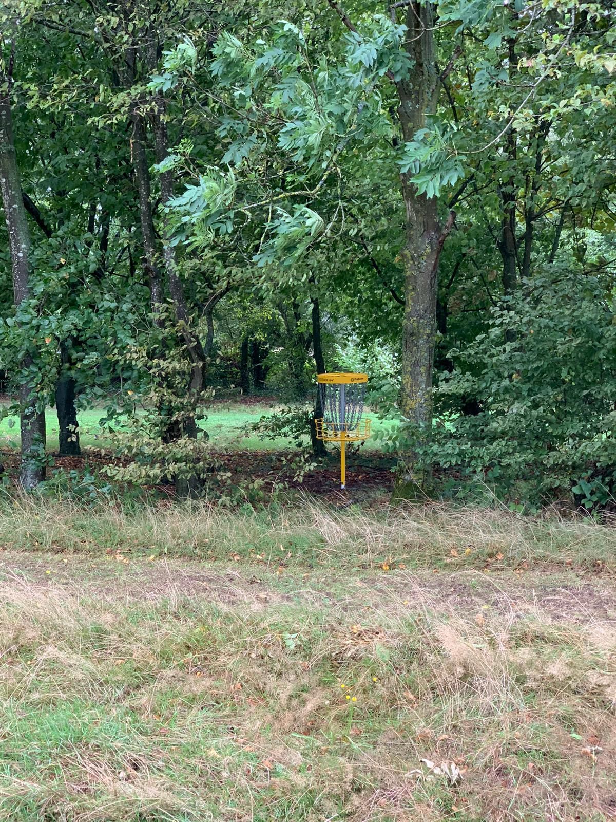Hole 6
