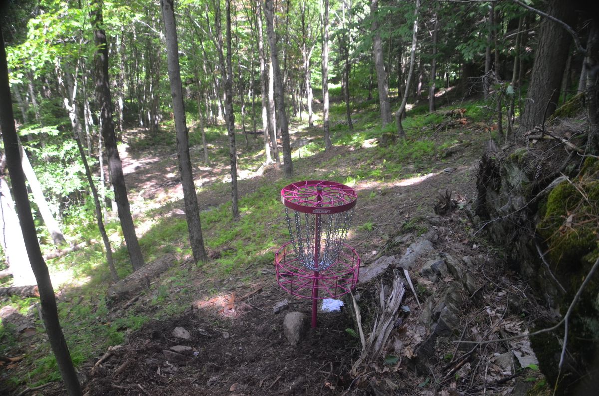 Hole 5 green.