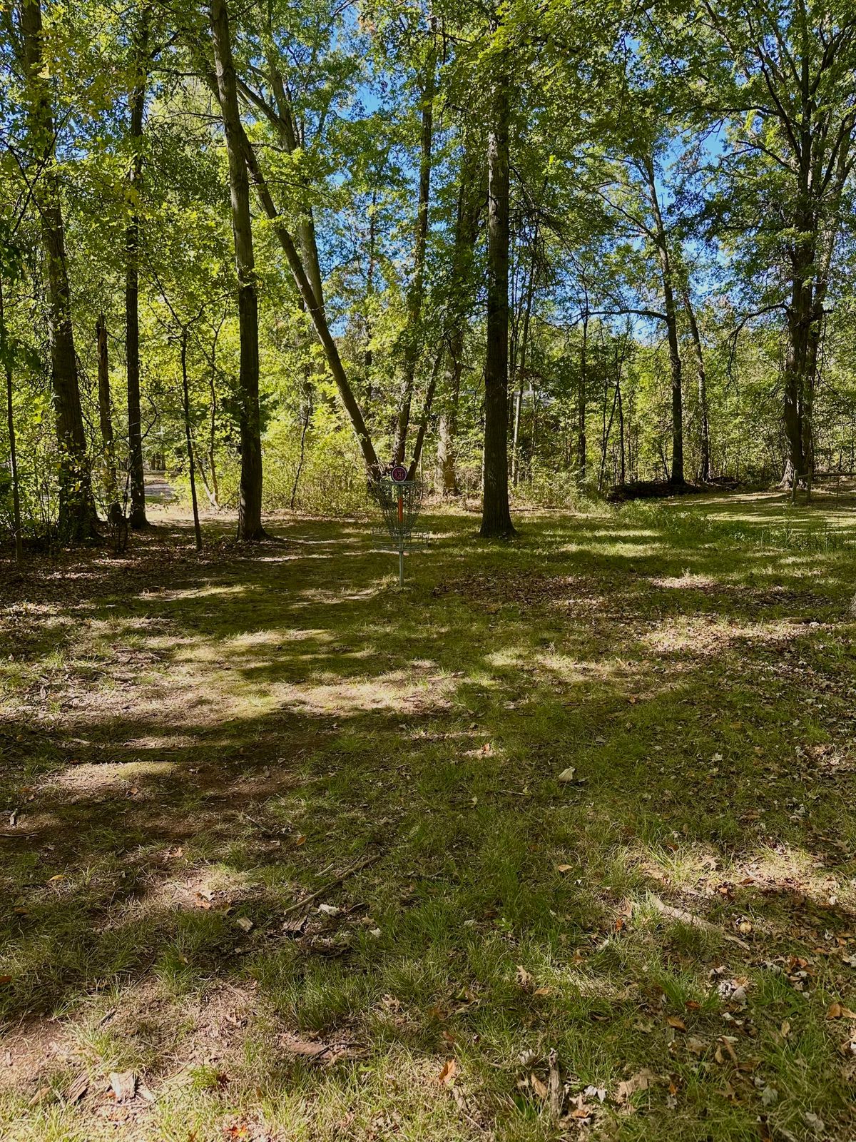 Basket Hole 11