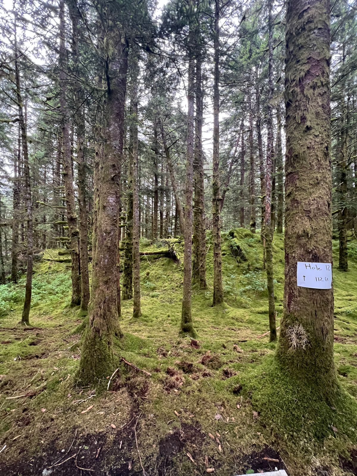Hole 12