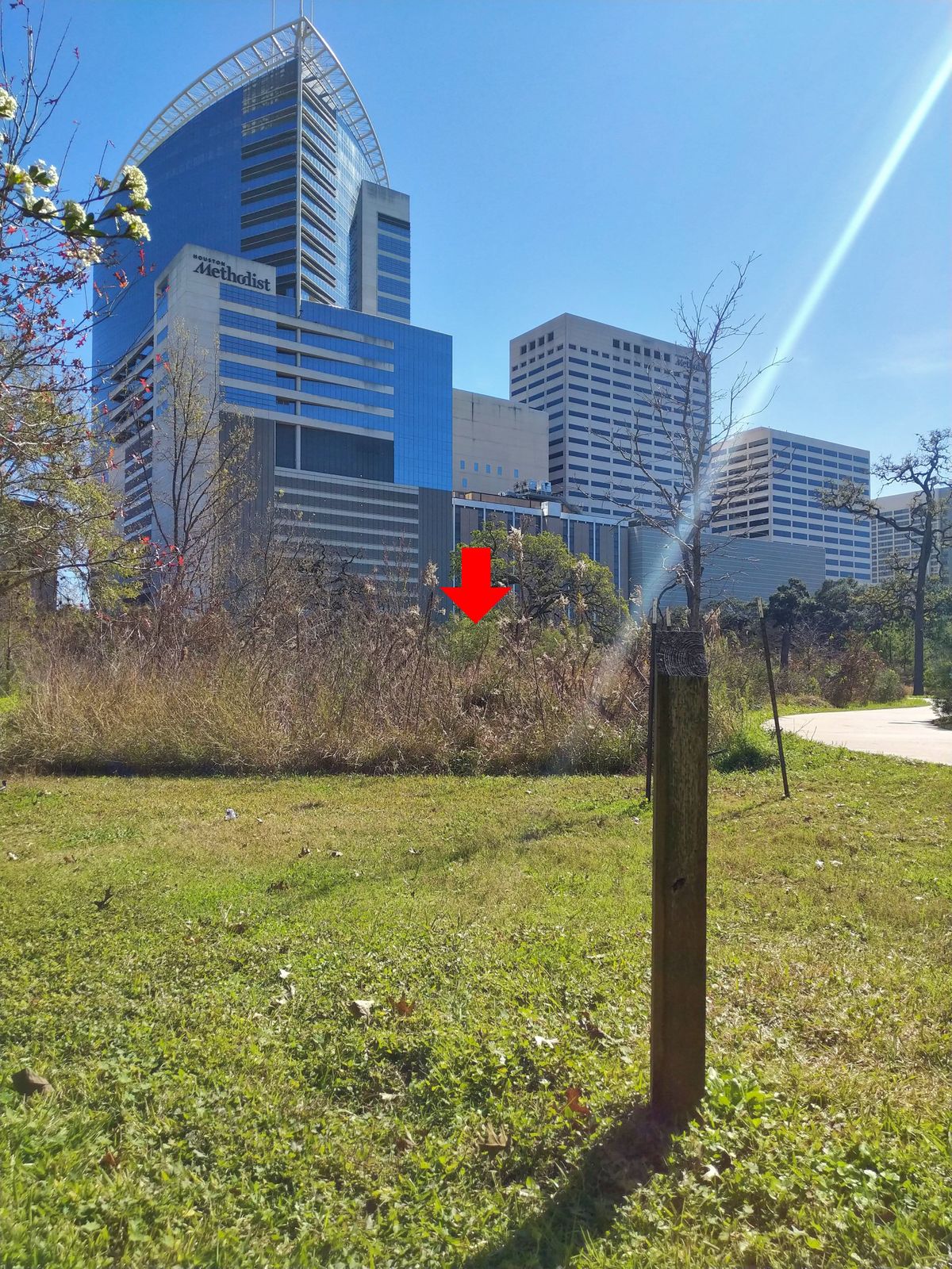 Hole 5 tee and basket location. Good luck!