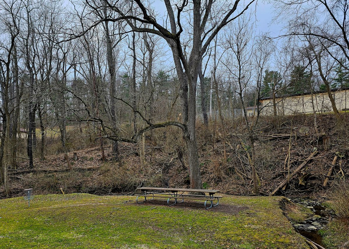 Several Creek Holes