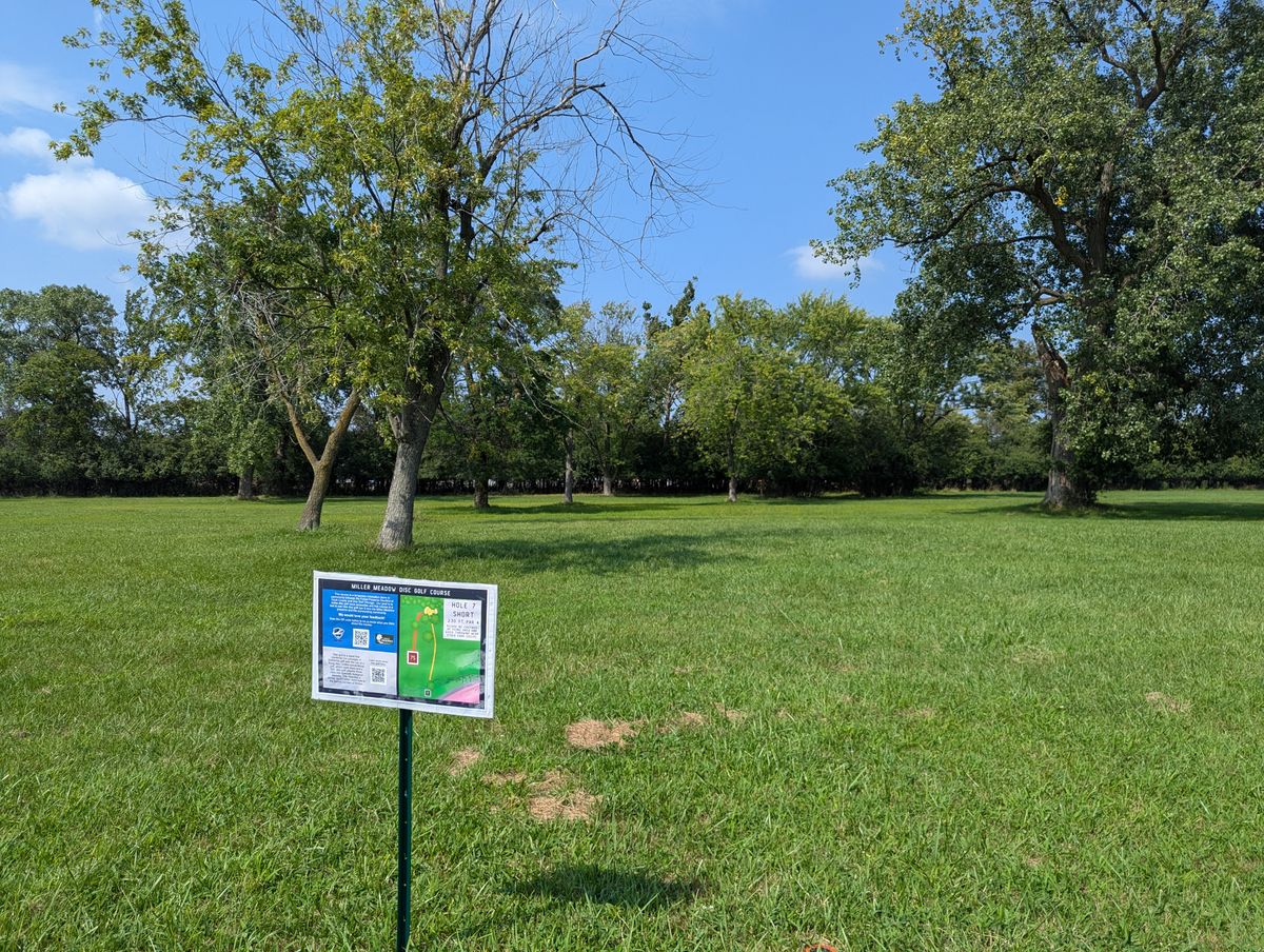 Hole 7 - Short